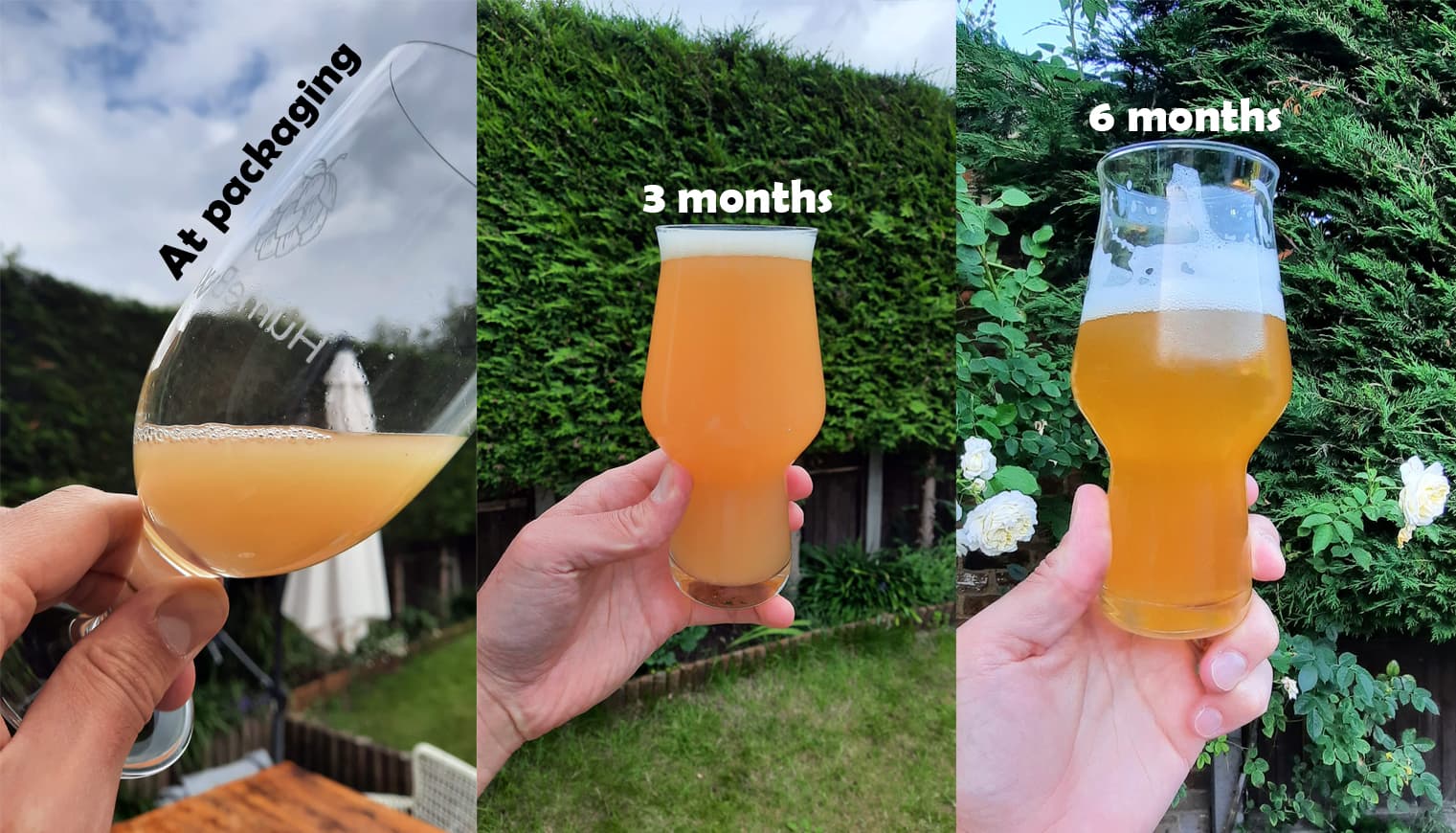 Maintaining haze stability in Hazy IPAs