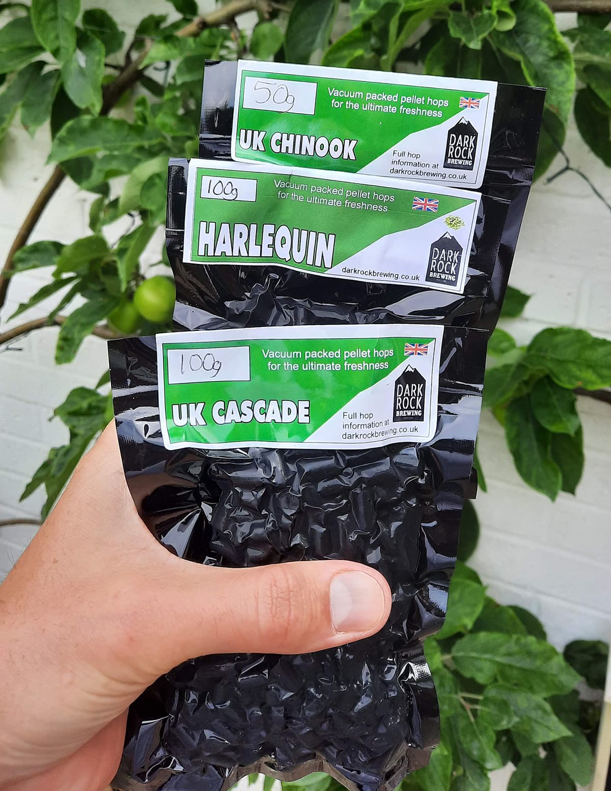 UK Cascade, UK Chinook and Harlequin Hops