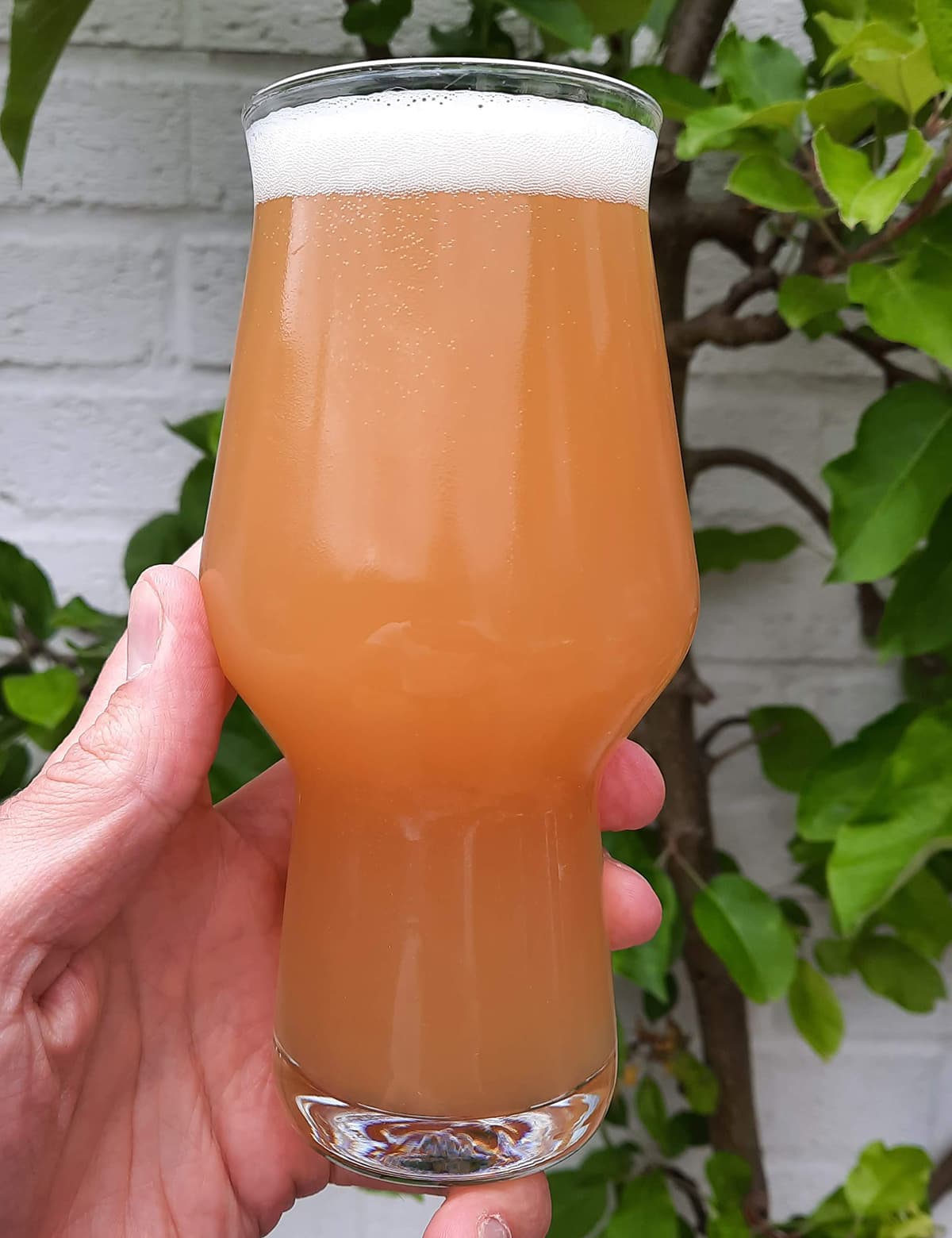 A picture of a Hazy IPA brewed with British Hops only