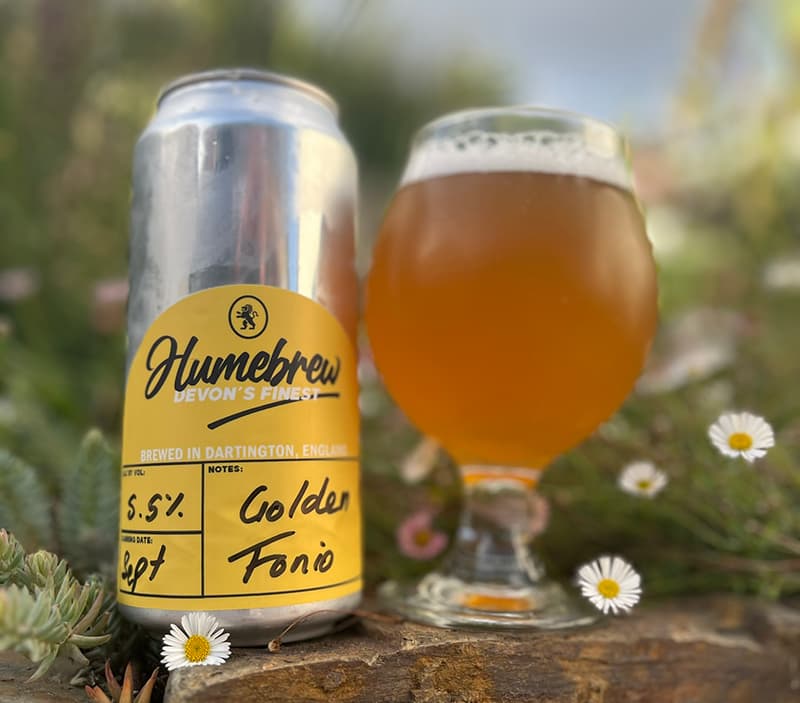 The result of the Fonio beer - It looks great!