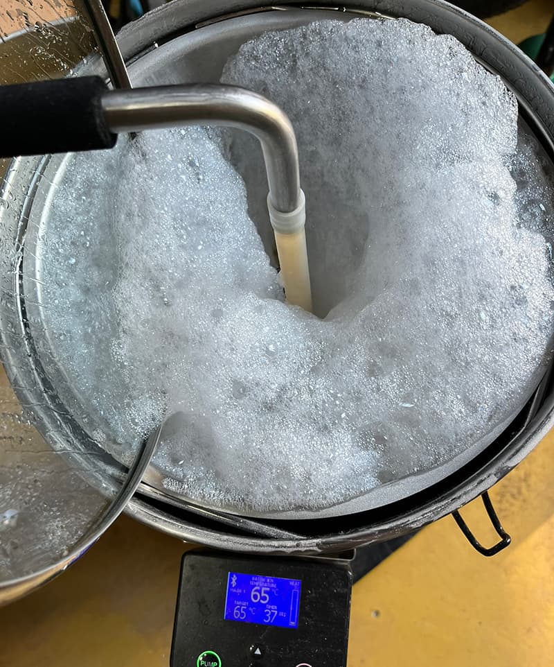 Fonio grains foaming during the mash
