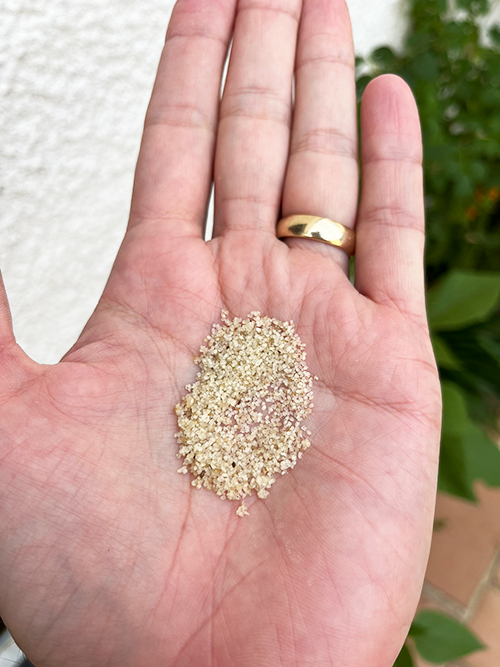 Fonio grains